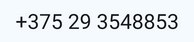 ./tel_1785184185186